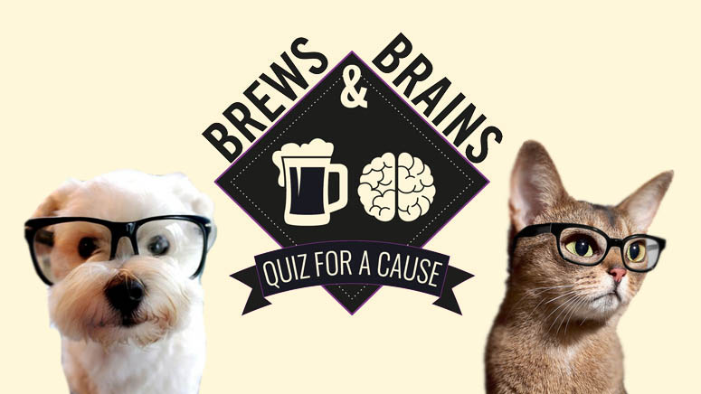 Brews and Brains