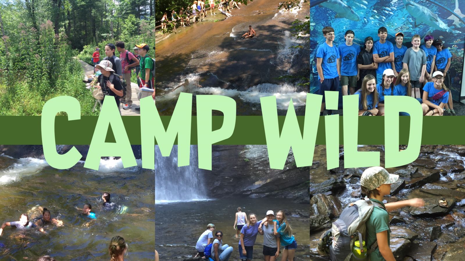 Camp Wild