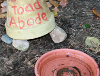 Toad Abode. Photo credit: Carla Brown, NWF
