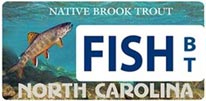 Native Brook Trout License Plate