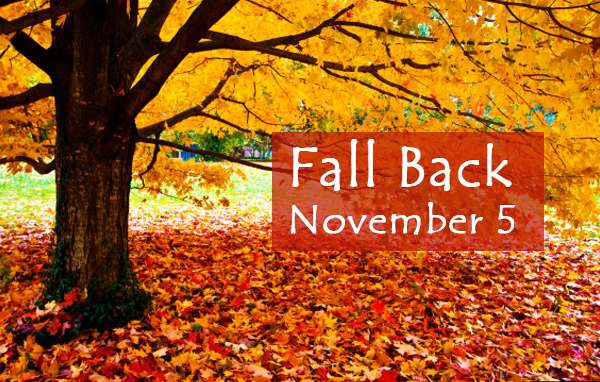 Fall Back on November 5