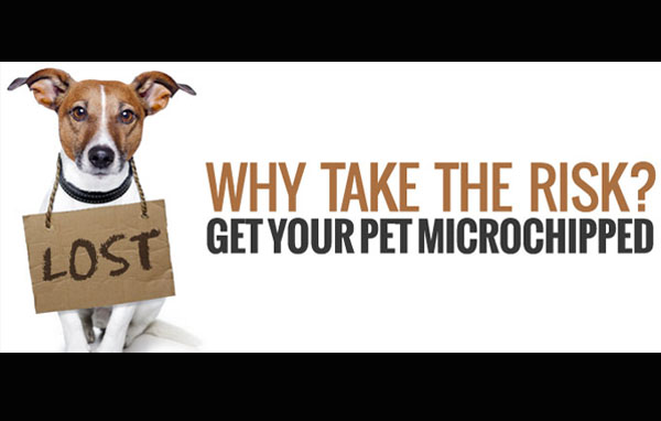 Why take the risk? Get you pet microchipped.