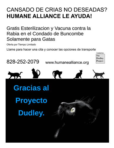 Dudley Project flyer.
