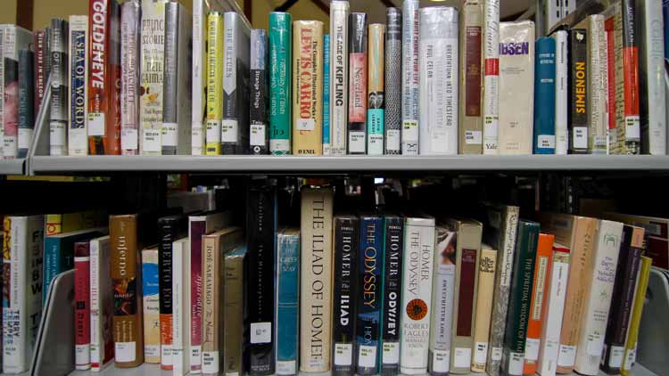 Black Mountain Library Bookshelf