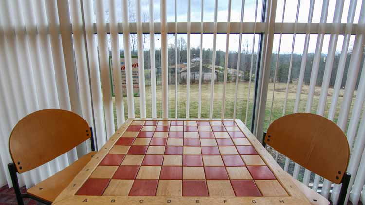 Leicester Library Chess Board