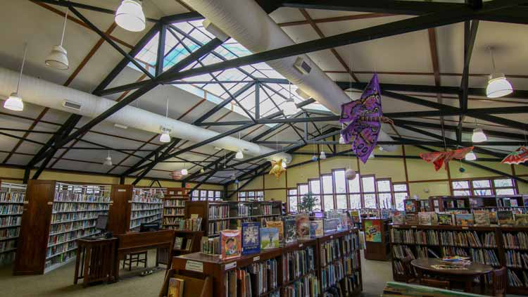 North Asheville Library Skylight
