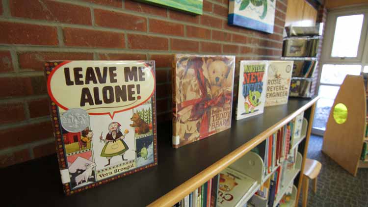 Skyland / South Buncombe Library Books