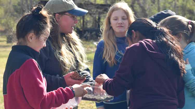 Hands-On Forestry Presentation