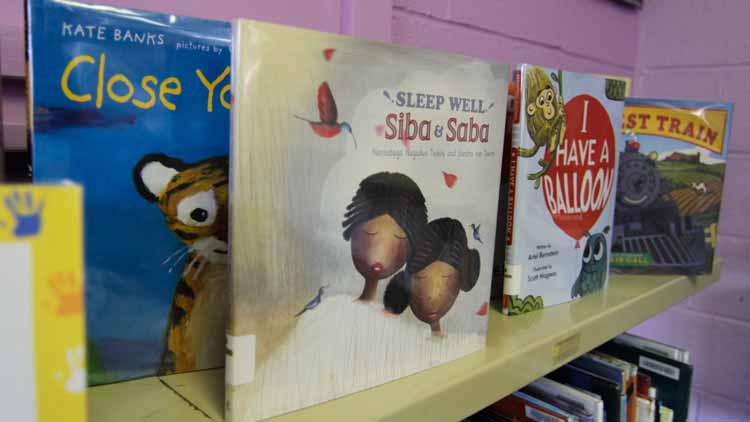 Swannanoa Library Children's Books