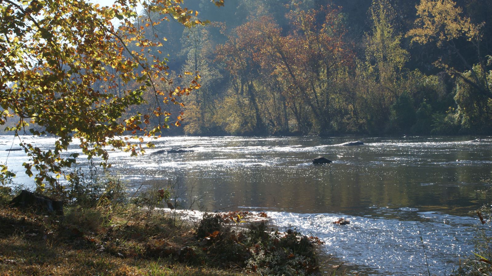 Alexander River Park