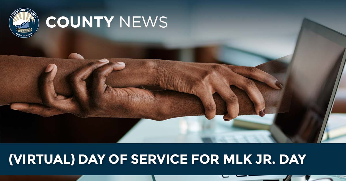 MLK Jr Day of Virtual Service