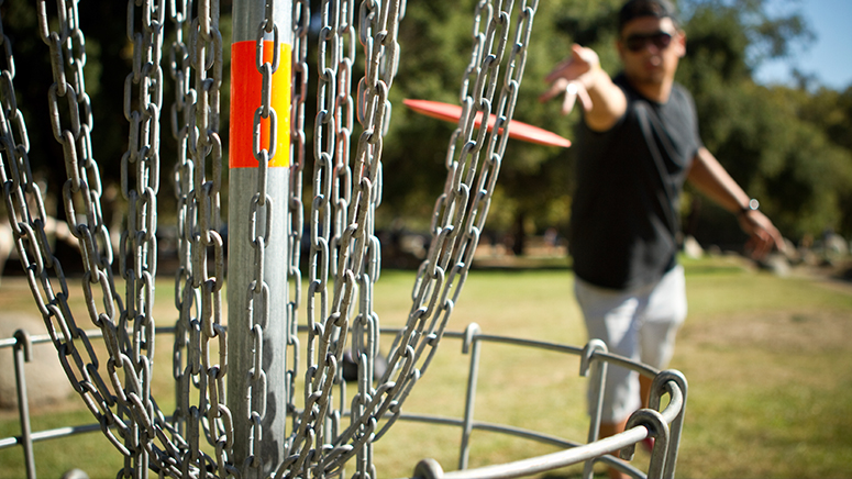 disc golfer