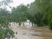It's hurricane season. Do you and your family have a plan in case of a flood?