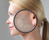 You don't need fancy repair creams that cost an arm &  a leg to prevent cracking & crinkles.