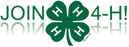 County Center - Join Buncombe County 4-H