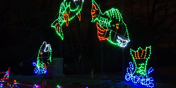 buncombe county news see holiday lights in asheville buncombe county news see holiday lights in asheville
