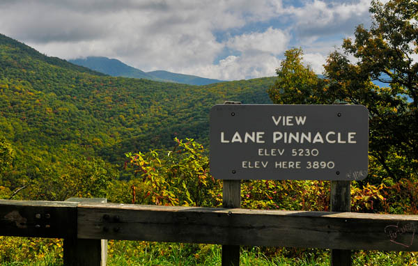 Lane Pinnacle