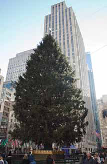 Photo of Rockefeller Center Christmas Tree. © iStockphoto.com | Neil Kendall