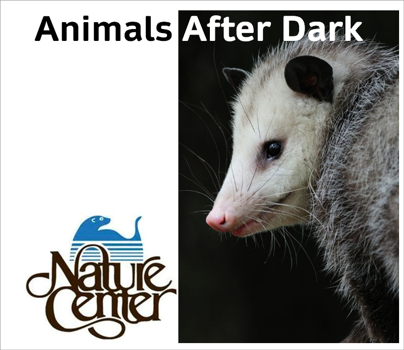 County Center - WNC Nature Center Presents: Animals After Dark
