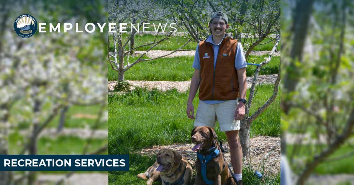 a man stands in the park with his dogs