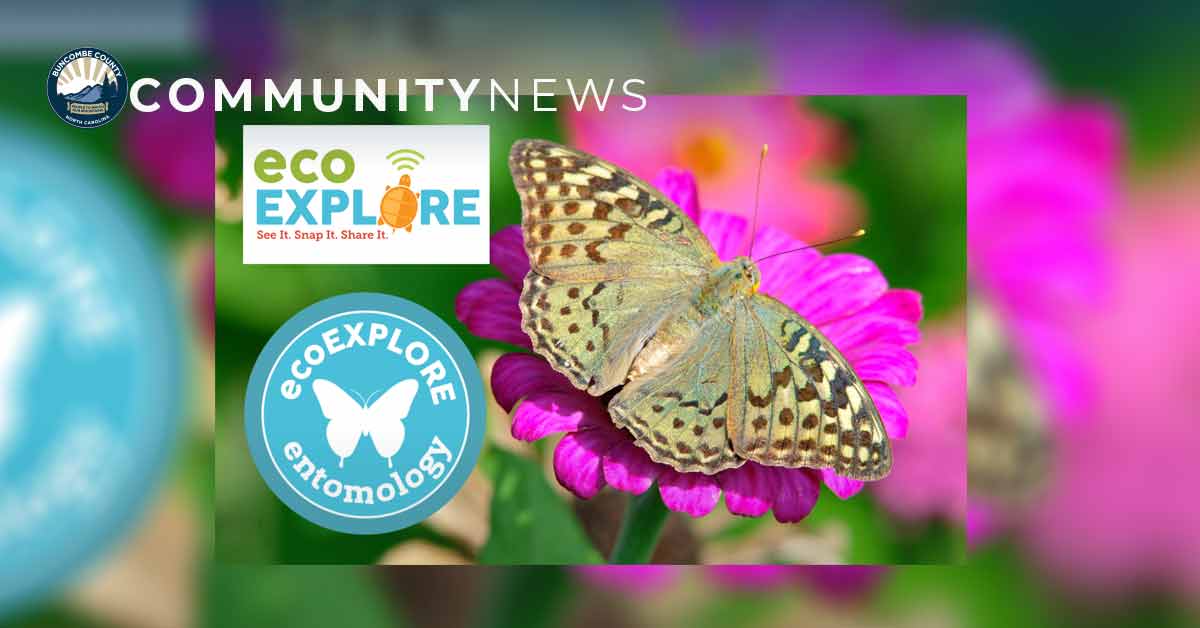 a butterfly sits on a flower with eco explore logos