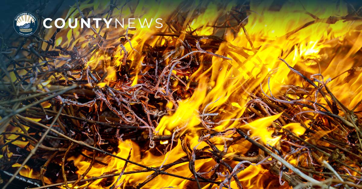 a close up photo of yard waste burning