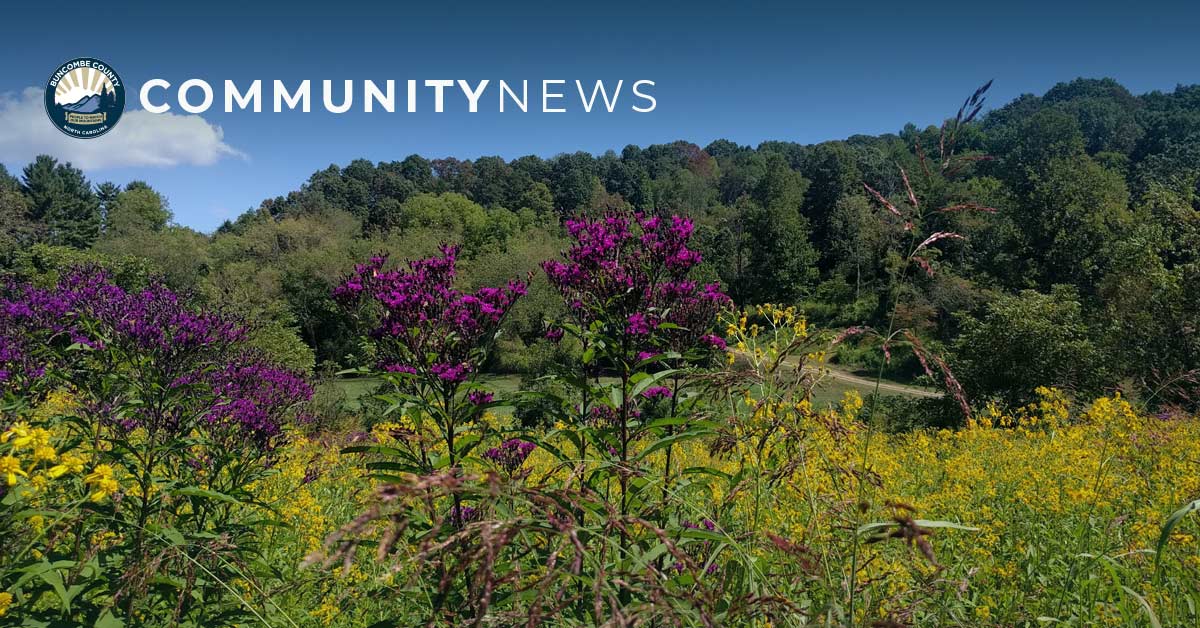 photo of a meadow landscape and headline card reads community news