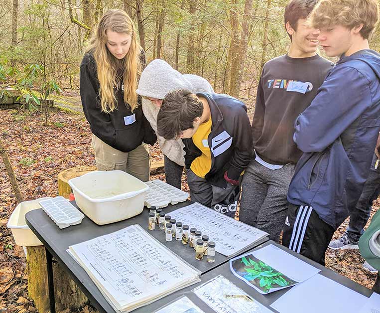 students study biology in the outdoors around a table