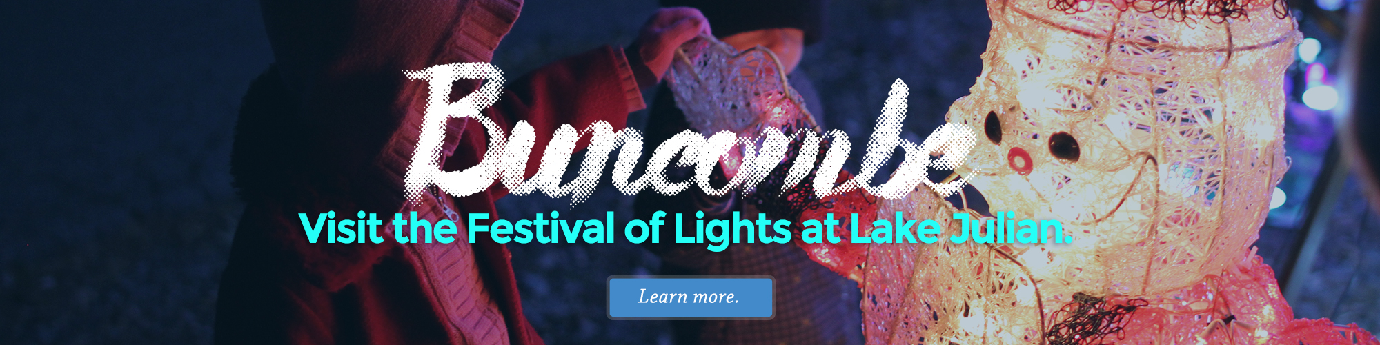 Click for tickets for the Festival of Lights at Lake Julian
