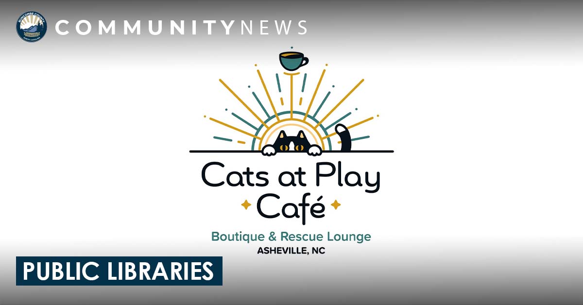 Get a Library ZOOM Pass for the Cats At Play Cafe