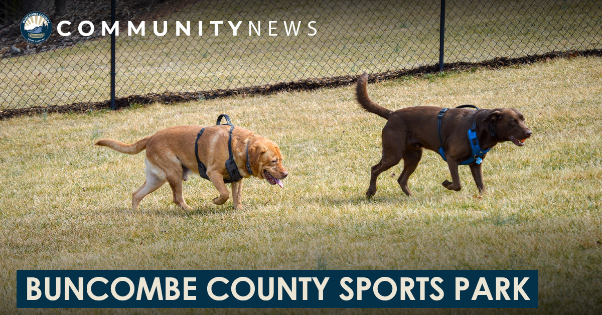 Pawsome News: Buncombe County Opens Its First Dog Park