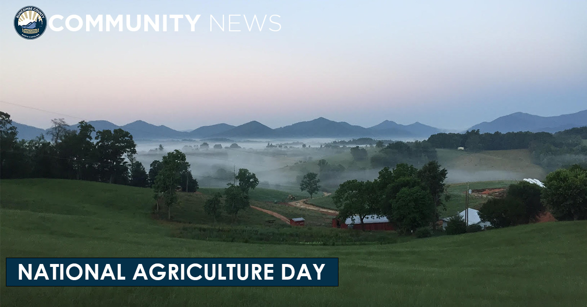 National Agriculture Day: Work Behind Preservation and Growth