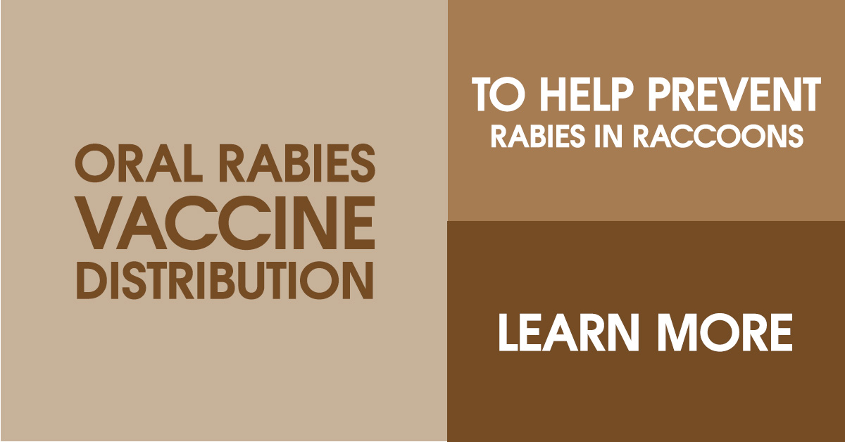 Oral Rabies Vaccine Distributed to Wild Animals 