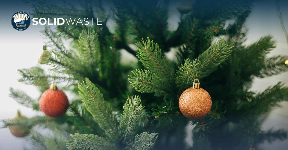 Recycling Your Christmas Tree at the Landfill