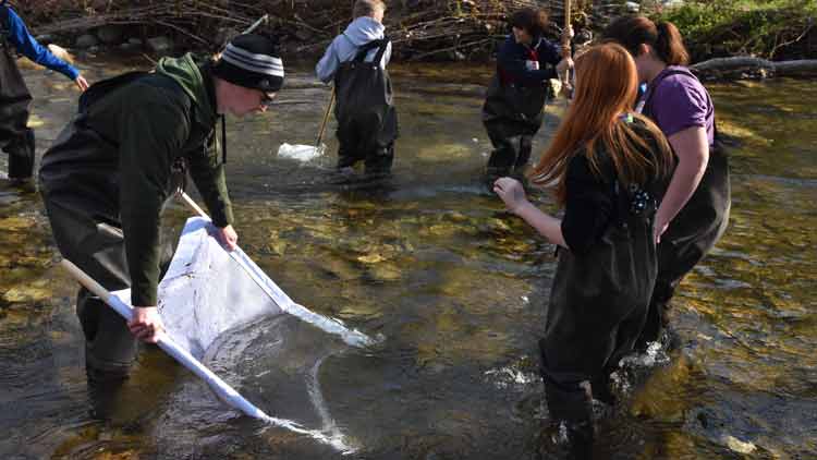 Envirothon Aquatics