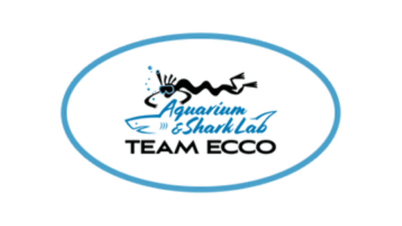 Team ECCO Aquarium